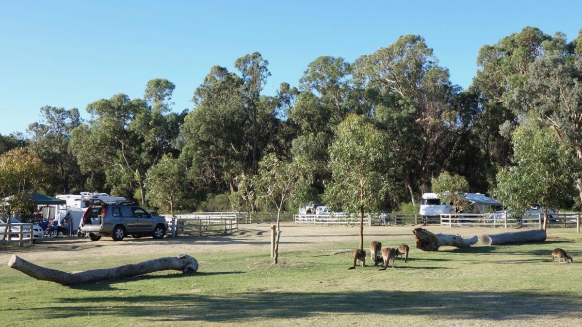 Camping at Yanchep National Park Discover Wanneroo